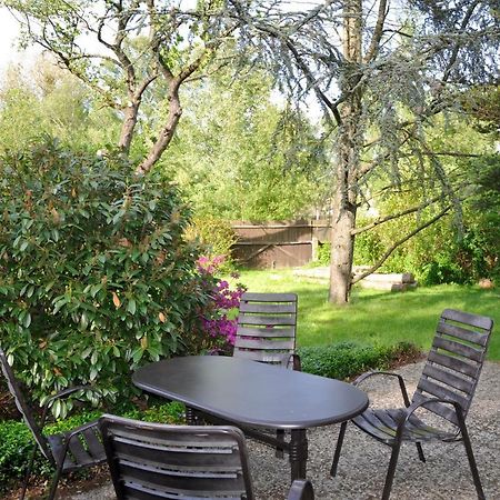 Ferienwohnung Am Foersterteich Hagenburg Extérieur photo